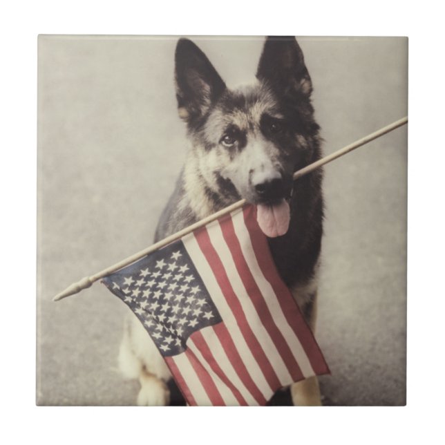 German Shepherd With US Flag Tile (Front)