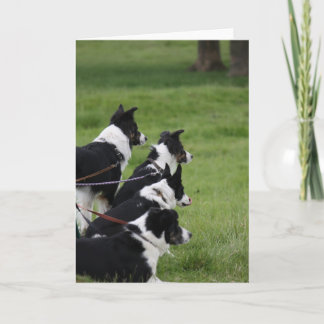 German Shepherds Card