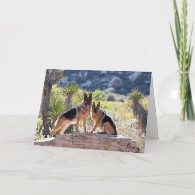 German Shepherds in Red Rock Canyon Greeting card (Front)