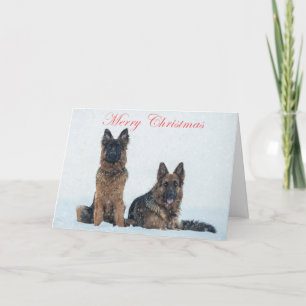 German shepherds in the snow christmas card. holiday card