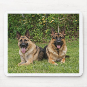 German Shepherds Mouse Mat