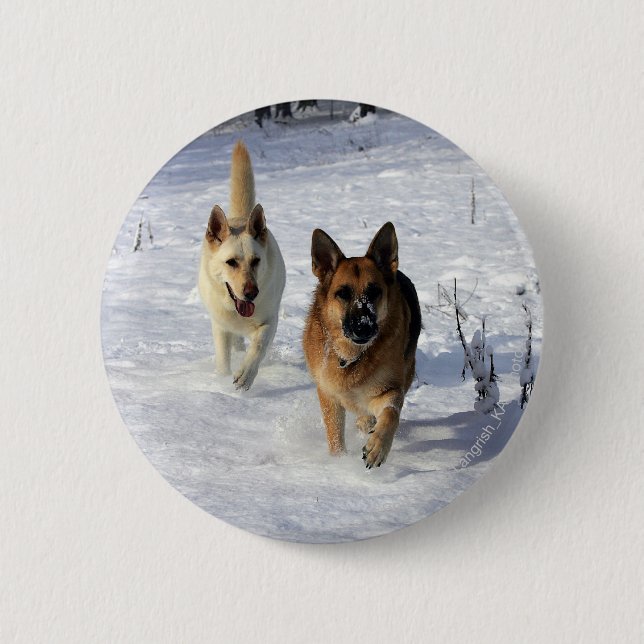 German Shepherds Running in the Snow 6 Cm Round Badge (Front)