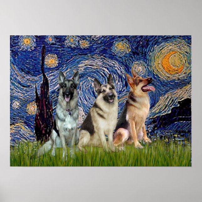 German Shepherds  Three - Starry Night Poster (Front)
