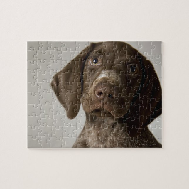German Short-Haired Pointer puppy Jigsaw Puzzle (Horizontal)