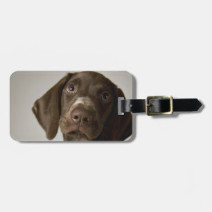 German Short-Haired Pointer puppy Luggage Tag