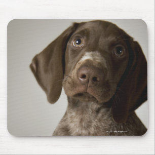 German Short-Haired Pointer puppy Mouse Mat