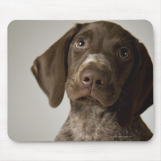 German Short-Haired Pointer puppy Mouse Mat (Front)