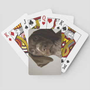 German Short-Haired Pointer puppy Playing Cards