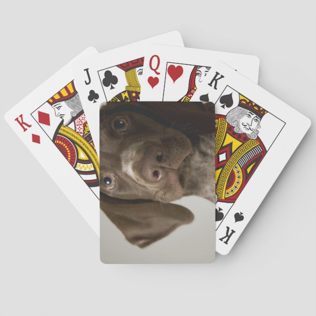 German Short-Haired Pointer puppy Playing Cards (Back)