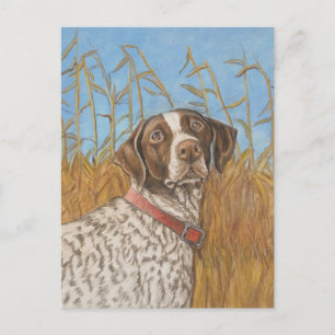 German Shorthair Pointer Dog Art Postcard
