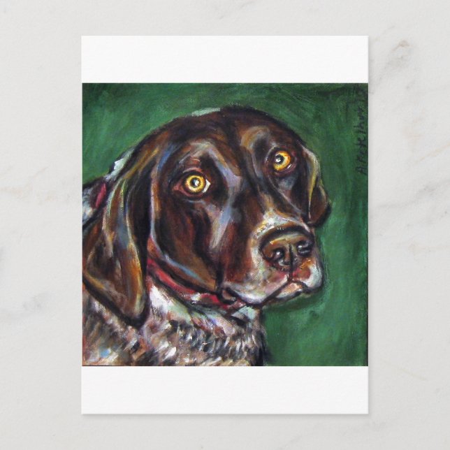 German Shorthair Pointer Postcard (Front)