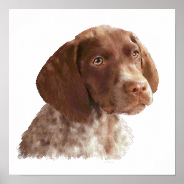 German Shorthair Puppy Poster (Front)