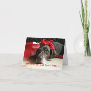 German Shorthaired Merry Christmas New Address Holiday Card