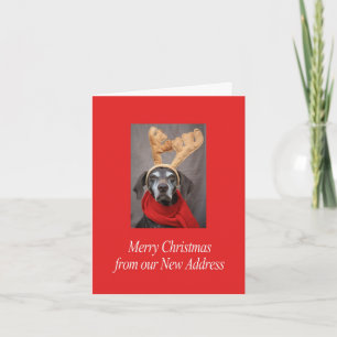 German Shorthaired Merry Christmas New Address Holiday Card