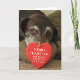 German Shorthaired Merry Christmas  New Address Holiday Card