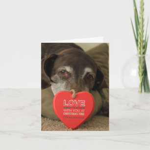 German Shorthaired Merry Christmas New Address Holiday Card