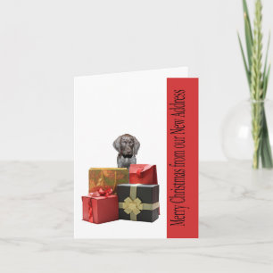 German Shorthaired Merry Christmas  New Address Holiday Card