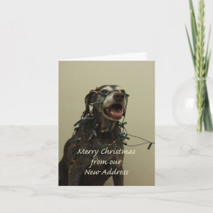 German Shorthaired Merry Christmas  New Address Holiday Card