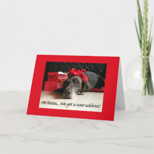 German Shorthaired Merry Christmas New Address Holiday Card
