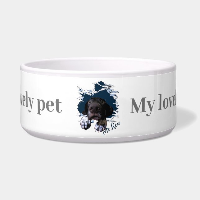 German Shorthaired Pointer  (Front)