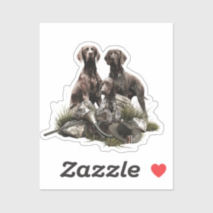 German Shorthaired Pointer
