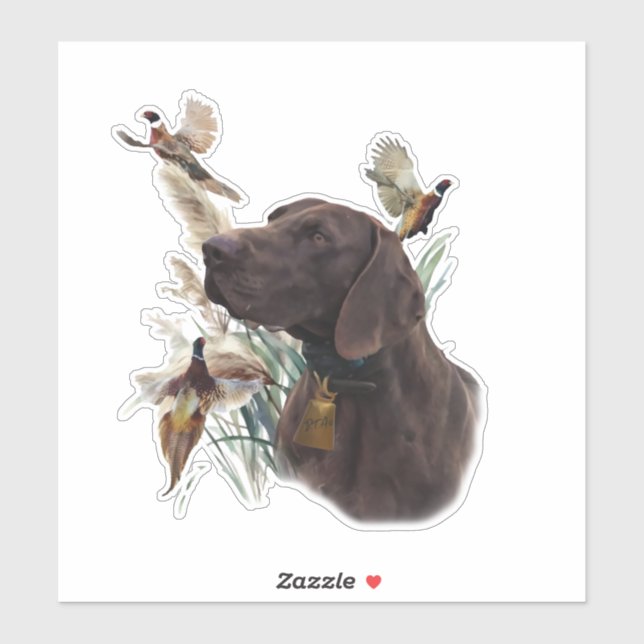 German shorthaired pointer  (Sheet)
