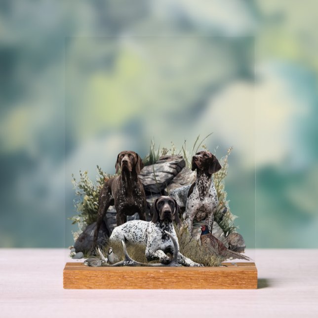 German Shorthaired Pointer     Acrylic Sign (Neutral)