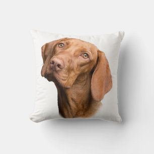 German Shorthaired Pointer Brown Dog Cushion