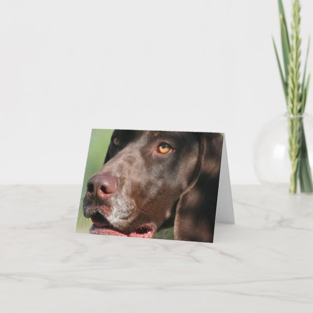 German Shorthaired Pointer Card (Front)