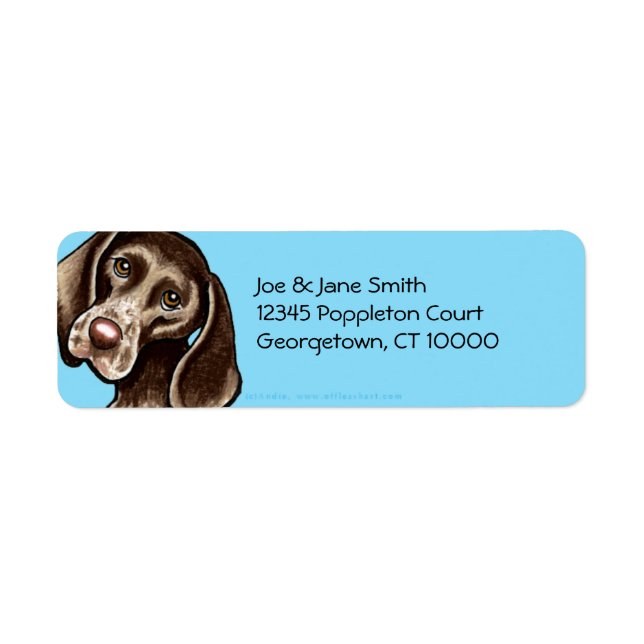 German Shorthaired Pointer Carribean (Front)