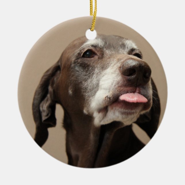 German shorthaired pointer christmas ornament (Front)
