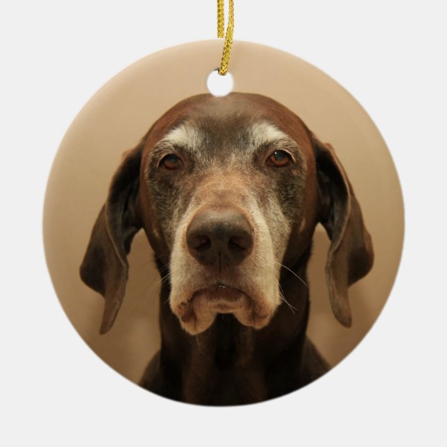 German shorthaired pointer christmas ornament (Front)