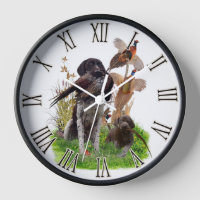German Shorthaired Pointer 