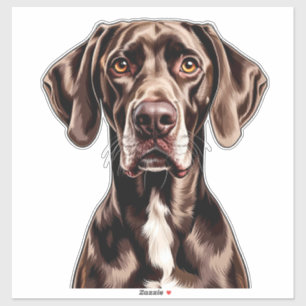 German Shorthaired Pointer Close-Up Portrait