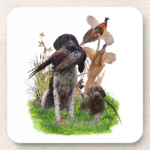 German Shorthaired Pointer Coaster