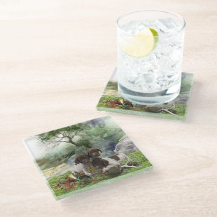 German Shorthaired Pointer cute  puppies        Glass Coaster