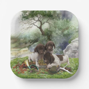 German Shorthaired Pointer cute  puppies      Paper Plate