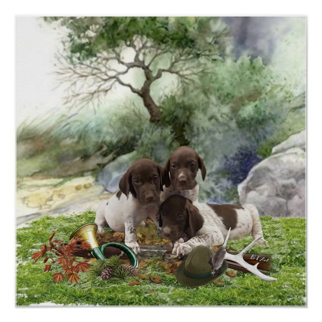 German Shorthaired Pointer cute  puppies  Poster (Front)