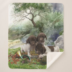 German Shorthaired Pointer cute  puppies       Sherpa Blanket