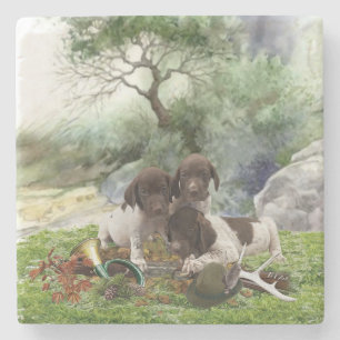 German Shorthaired Pointer cute puppies Stone Coaster