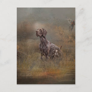 German Shorthaired Pointer ,Deutsch Kurzhaar Tapes Postcard
