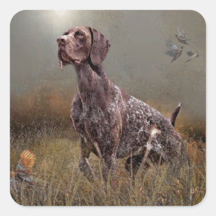 German Shorthaired Pointer ,Deutsch Kurzhaar Tapes Square Sticker