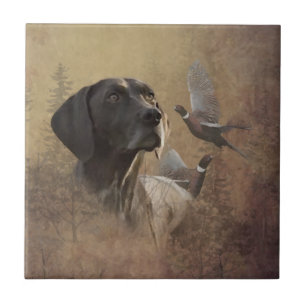 German Shorthaired Pointer ,Deutsch Kurzhaar Tapes Tile