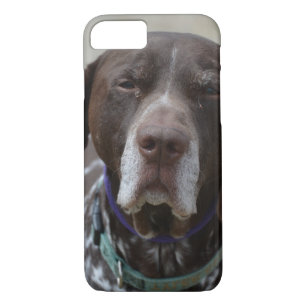 German Shorthaired Pointer Dog iPhone 8/7 Case