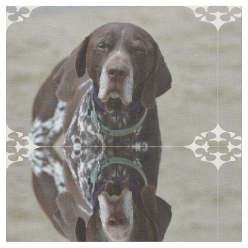 German Shorthaired Pointer Dog Fabric Zazzle