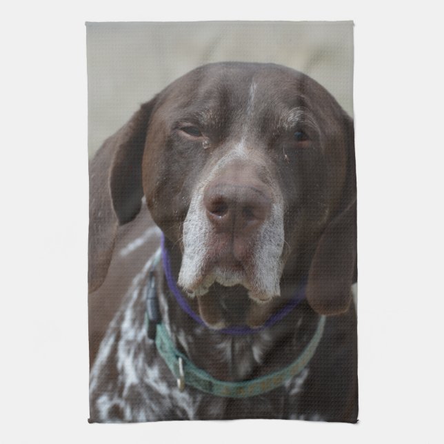German Shorthaired Pointer Dog Tea Towel (Vertical)