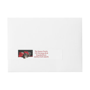 German Shorthaired Pointer @ fireplace Wraparound Address Label