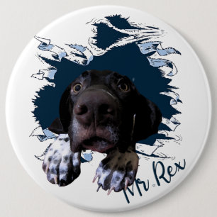 German Shorthaired Pointer,funny face 6 Cm Round Badge