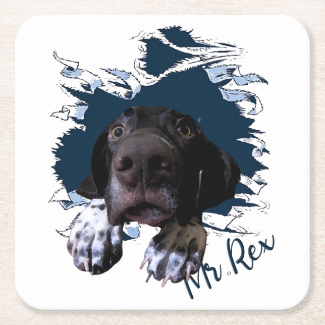 German Shorthaired Pointer,funny face Bandanna Square Paper Coaster (Front)