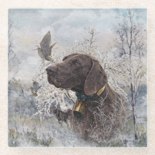 German Shorthaired Pointer Glass Coaster